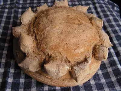 Pains, 100 recettes croustillantes. recettes testées
