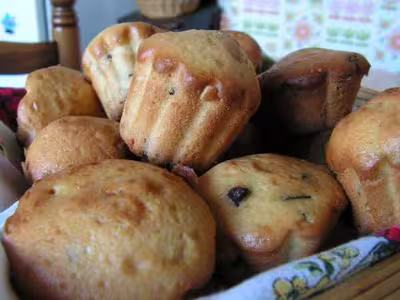 Muffins aux pépites de chocolat et muffins aux raisins secs