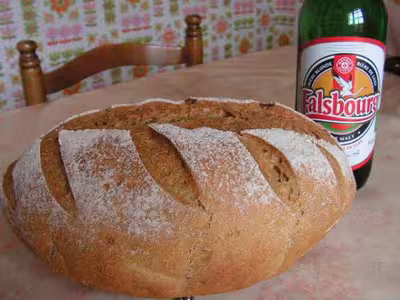 Pains, 100 recettes croustillantes. recettes testées