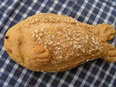 Pains, 100 recettes croustillantes. recettes testées
