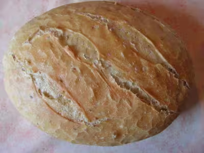 Pains, 100 recettes croustillantes. recettes testées