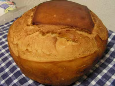Pains, 100 recettes croustillantes. recettes testées