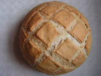 Pains, 100 recettes croustillantes. recettes testées
