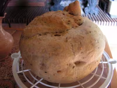 Pains, 100 recettes croustillantes. recettes testées
