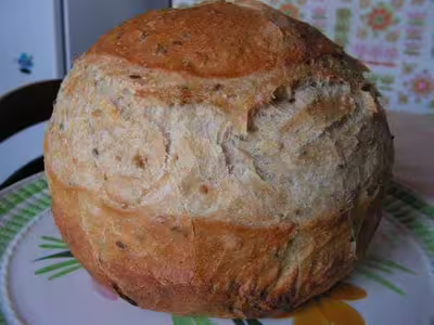 Pains, 100 recettes croustillantes. recettes testées