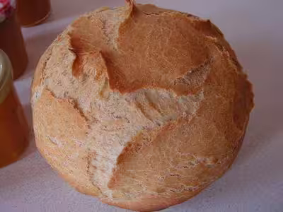Pains, 100 recettes croustillantes. recettes testées
