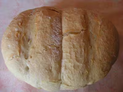 Pains, 100 recettes croustillantes. recettes testées par Capucine71
