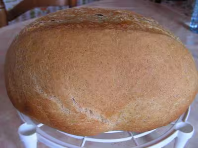Pains, 100 recettes croustillantes. recettes testées