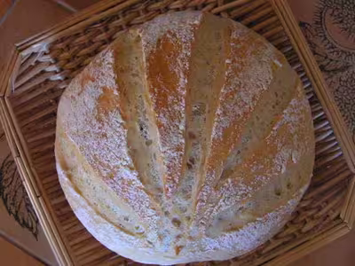 Pains, 100 recettes croustillantes. recettes testées