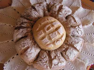 Pains, 100 recettes croustillantes. recettes testées