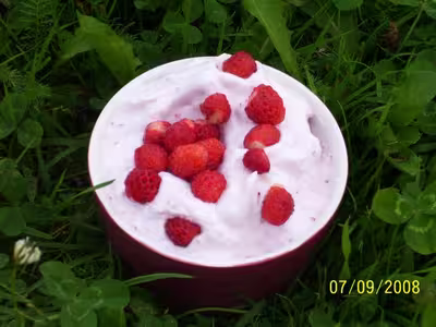 Mousse aux fraises des champs par katou