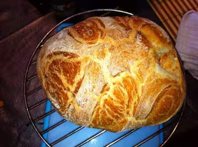 Pain aux céréales fraîches