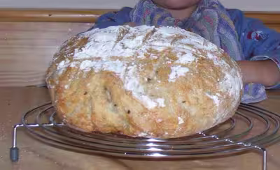 Pains, 100 recettes croustillantes. recettes testées