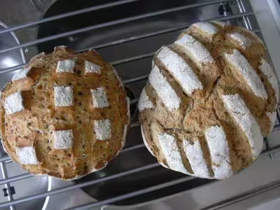 Recette du levain liquide