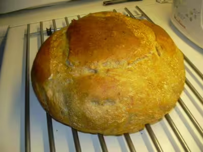 Recette du levain liquide