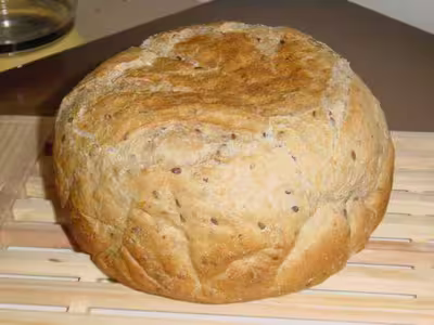 Pains, 100 recettes croustillantes. recettes testées