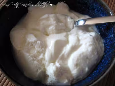 Recette Thermomix: Fromage blanc fait maison