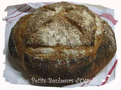 Pain de campagne tout levain pana sd 255 (+ cuisson four)