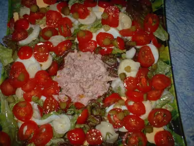 Salade de thon aux coeurs d'artichauts et tomates par alcibiade