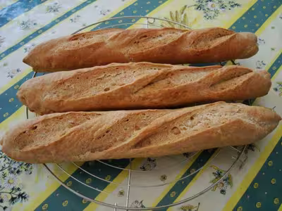 Mon levain liquide inratable (12)