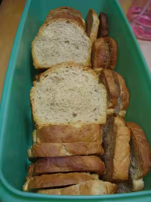 Mon levain liquide inratable (9)