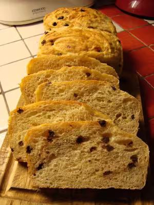 Mon levain liquide inratable (10)