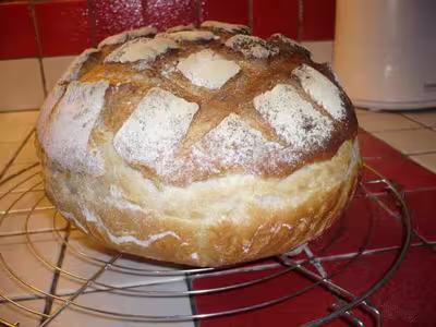 Mon levain liquide inratable (9)