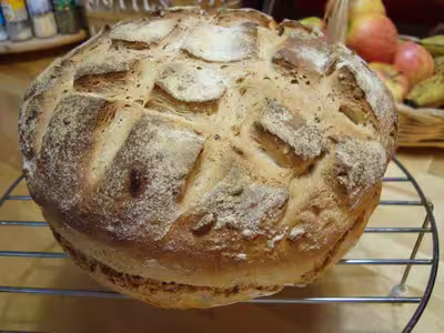 Mon levain liquide inratable (9)