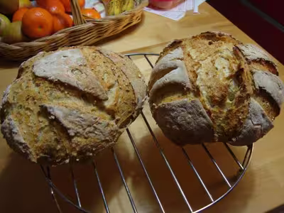 Mon levain liquide inratable (12)