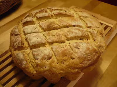 Mon levain liquide inratable (9)