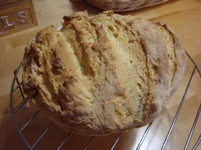 Mon levain liquide inratable (10) par Vivire