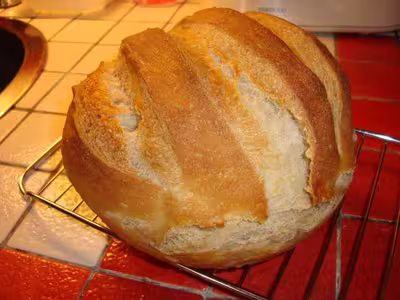 Mon levain liquide inratable (9)
