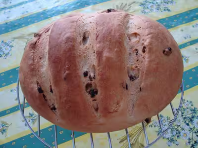 Mon levain liquide inratable (11)