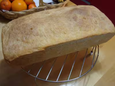 Mon levain liquide inratable (10)
