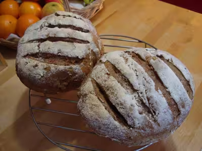 Mon levain liquide inratable (10)