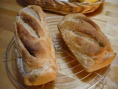 Mon levain liquide inratable (5)