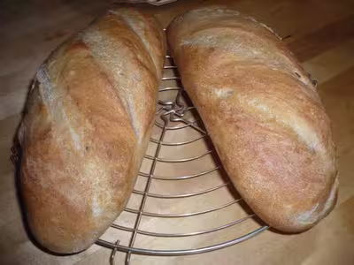 Mon levain liquide inratable (6)