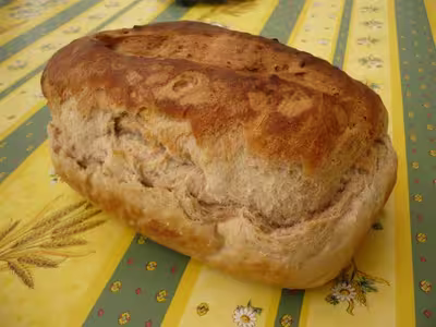 Mon levain liquide inratable (7)