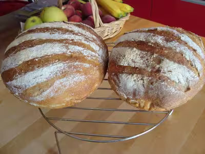 Mon levain liquide inratable (10)