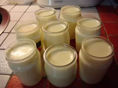 Mon levain liquide inratable (11)
