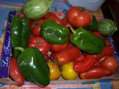 Les menus et recettes wetwet de cortaline