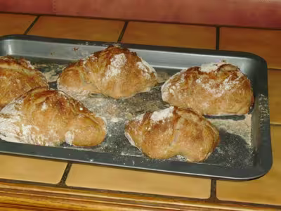 Pain sans pétrissage avec levure saf