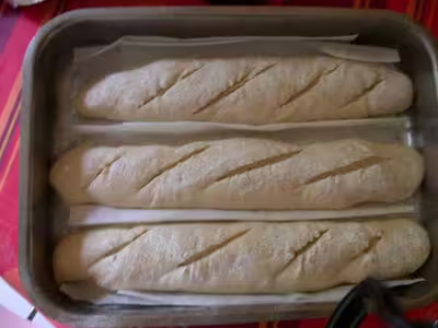 Baguettes Poolish légeres au gluten réduit