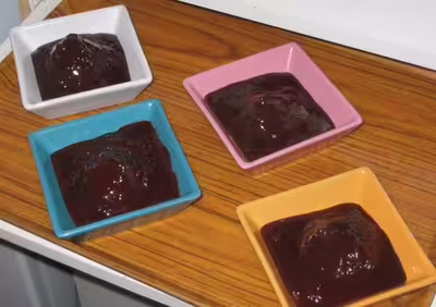 Ww recettes testées : desserts au chocolat par diabline1978