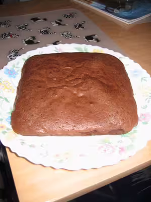 Brownies au chocolat et à la poudre de noisettes