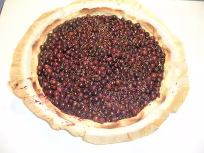 Recette Thermomix: Tarte aux amélanches