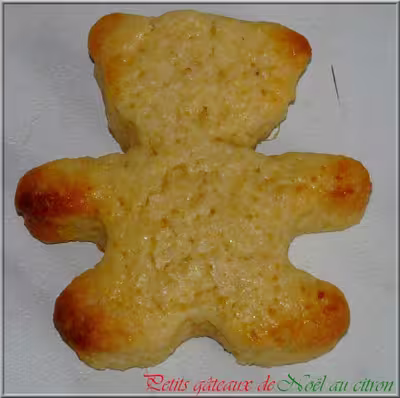Thermomix: Gâteaux de Noël