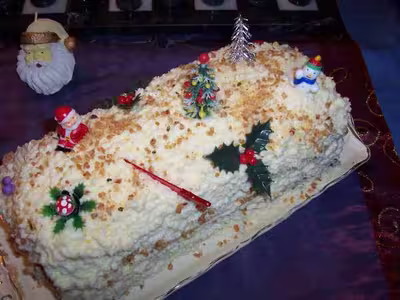 Bûche au chocolat et noix de coco