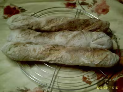 Mon levain liquide inratable (10)