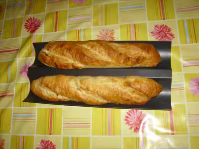 Mon levain liquide inratable (12)